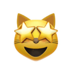 Smile Cat with star eyes